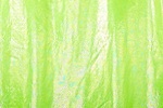 Animal prints hologram (Lime)
