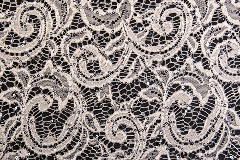 Stretch Sequins Lace (Vintage Silver/Silver)