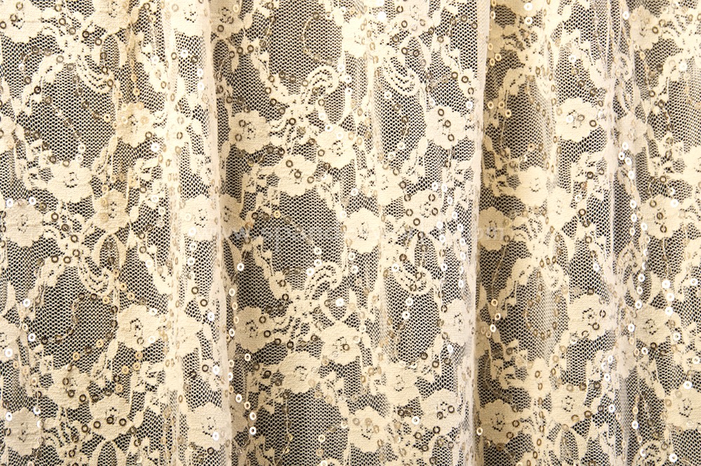 Stretch Sequins Lace (Ivory/Lt.Gold)