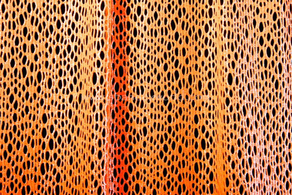 Fishnet (Neon Orange/Foil)