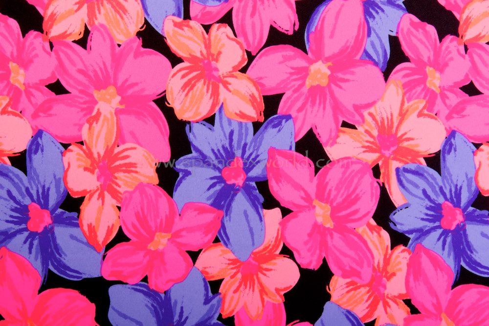 Floral Print (Fuchsia/Purple/Black/Multi)