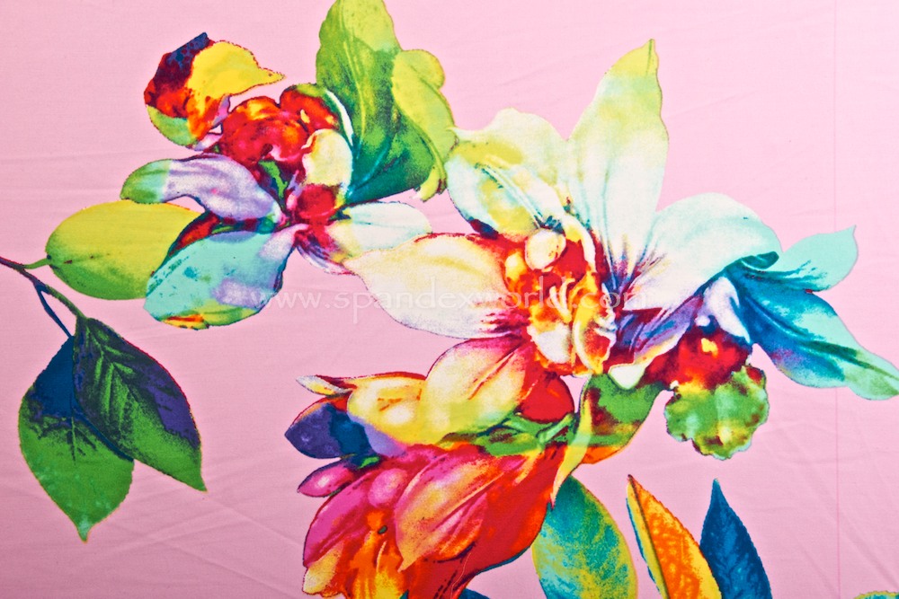 Floral Print (Pink/Aqua/Red/Multi)