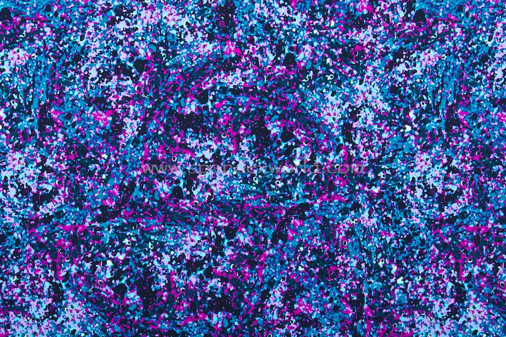 Abstract Print(Blue/Purple/Multicolored)