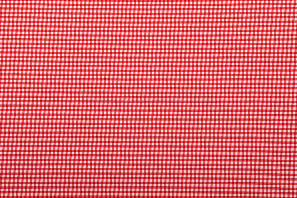 Checkered Print (Red/White)